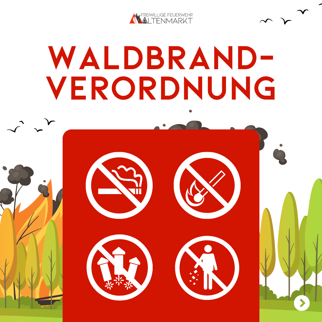 Informationsgrafik zum Verhalten im Wald und in Waldnähe
