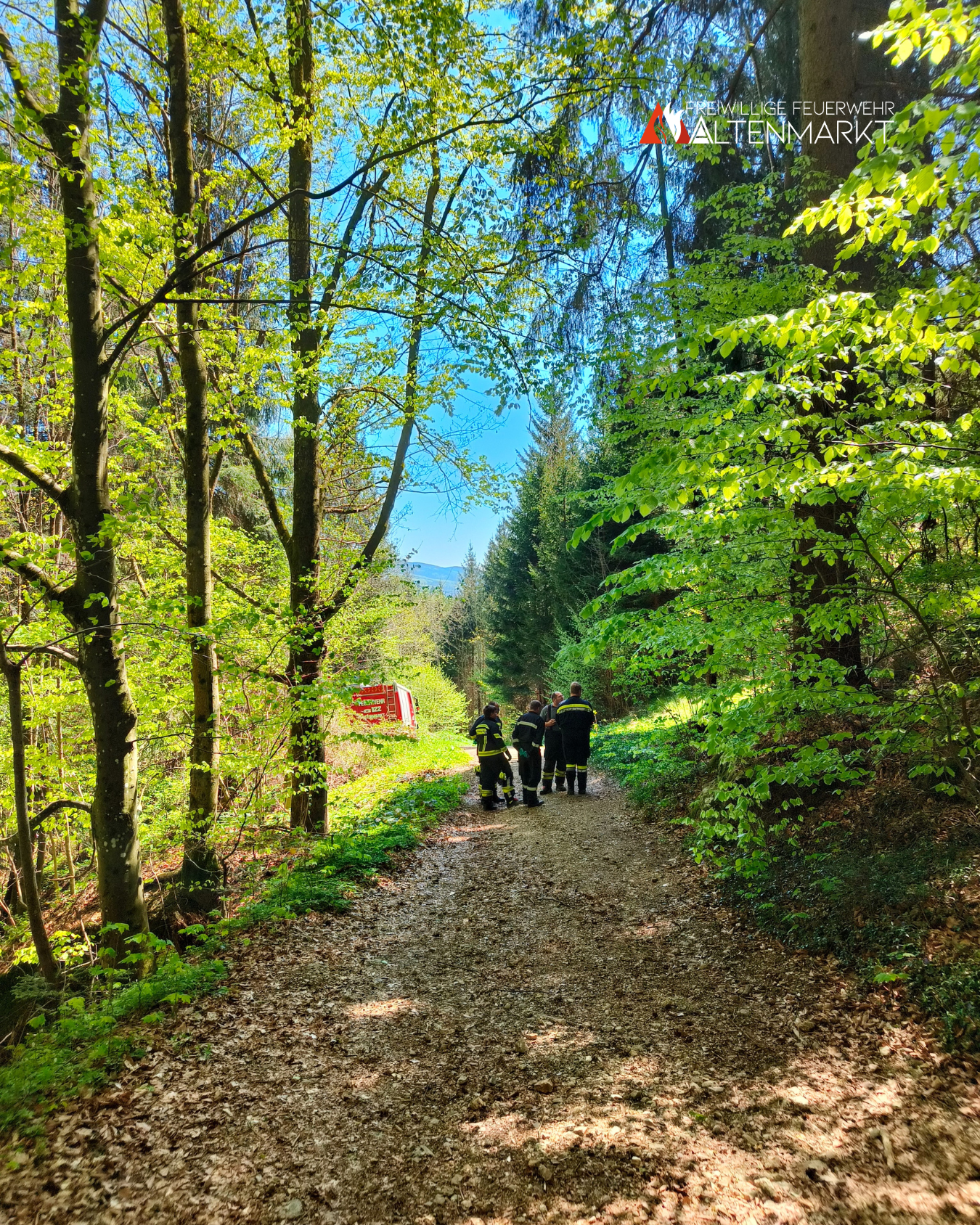 Feuerwehrauto und Feuerwehrmänner auf einem Waldweg